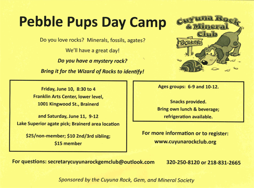 Pebble Pups Day Camp